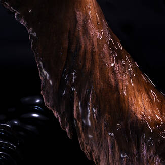 Ingredient Image