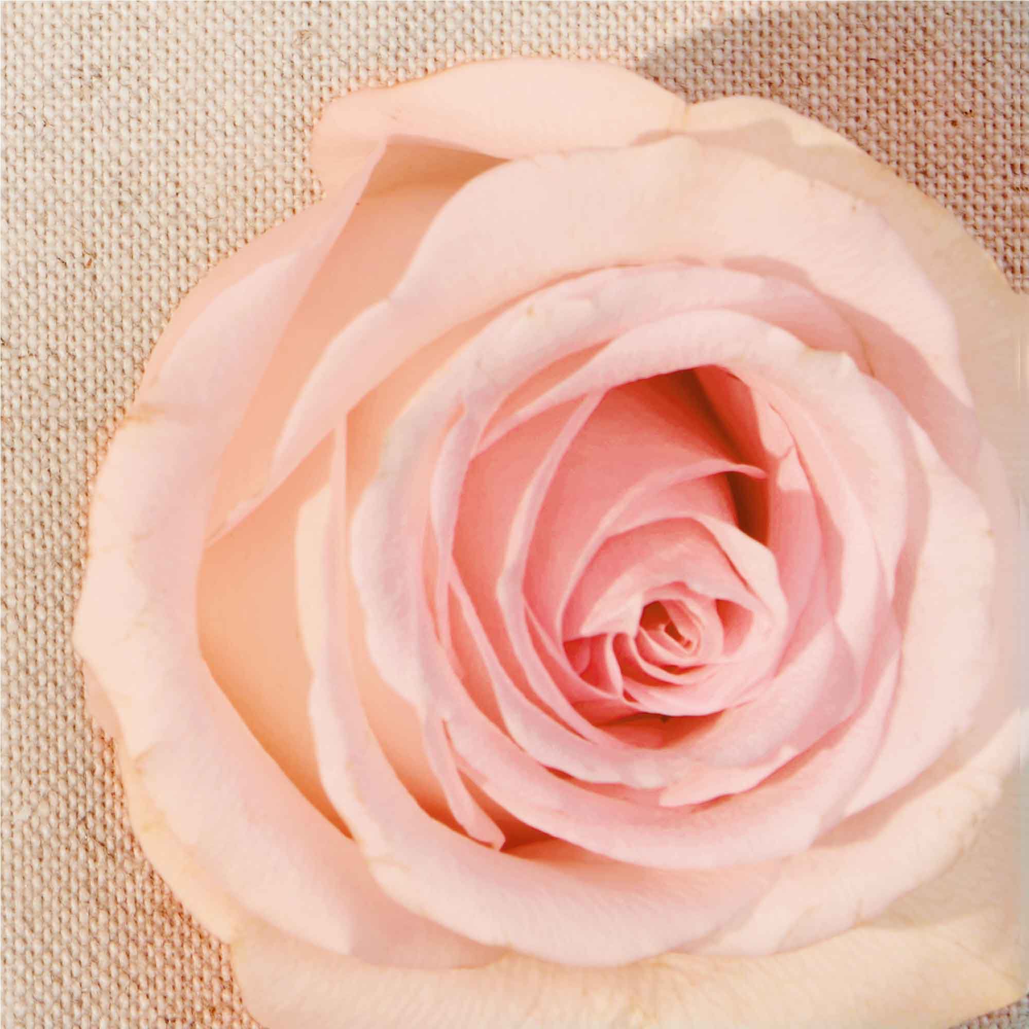 REPLICA On a Date Scented Candle | Maison Margiela Official