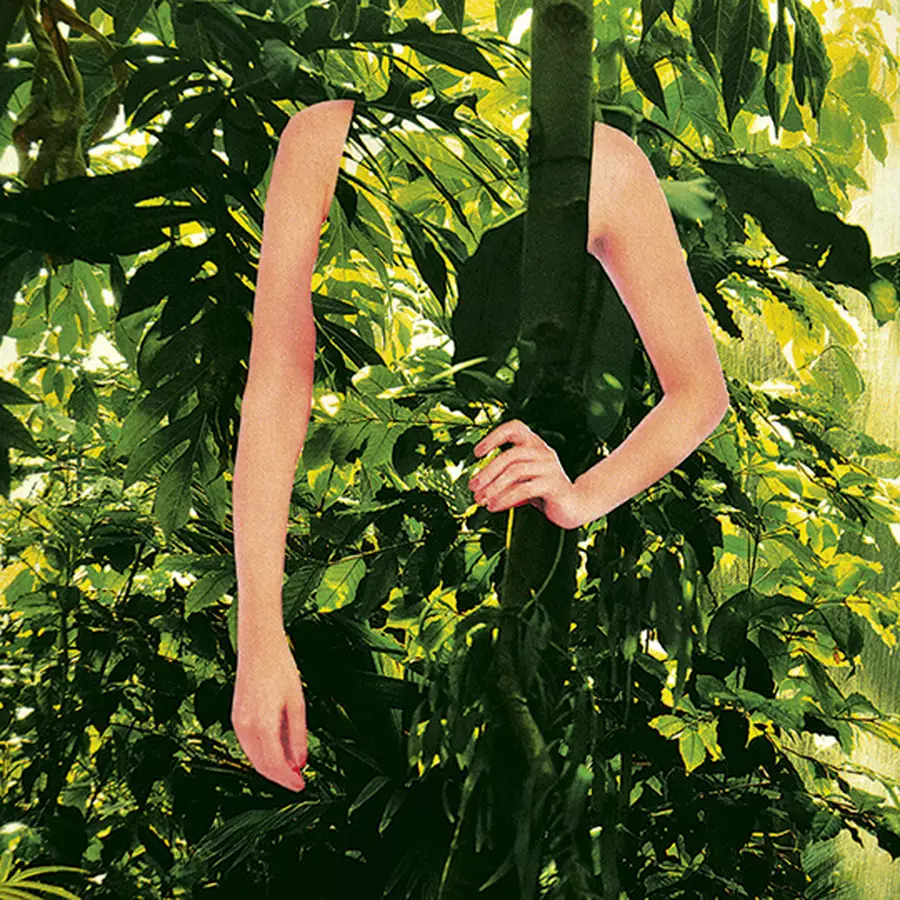 REPLICA Soul of the Forest | Maison Margiela Fragrances