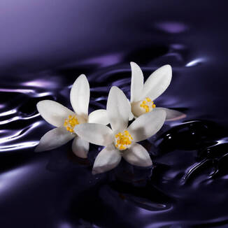 Ingredient Image