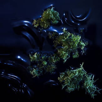 Ingredient Image