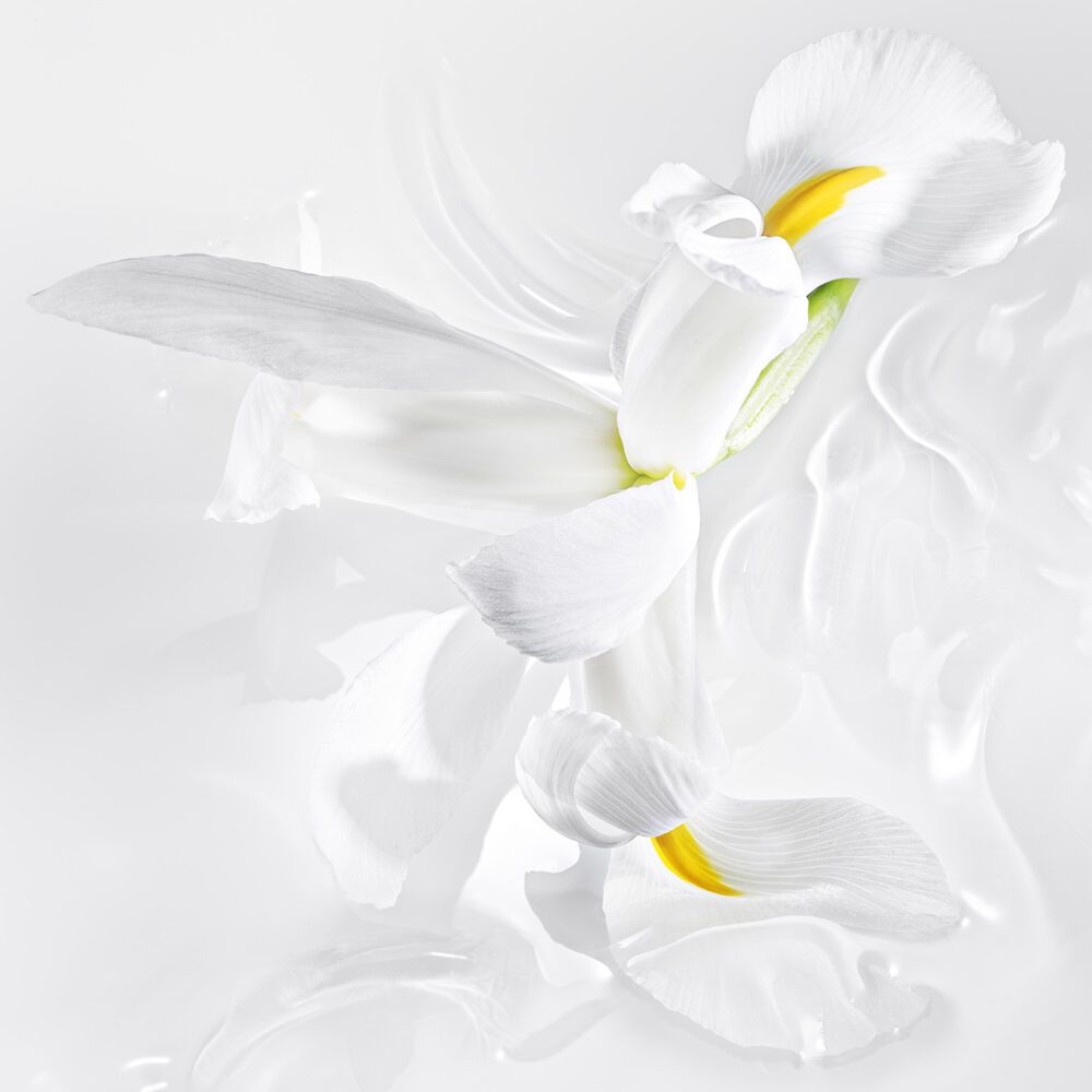 【ちろる】Maison Margiela LasySunday REPLICA Lazy Sunday Morning EDT Perfume | Maison Margiela