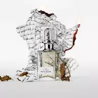 Scentsorium Fit of Folly Parfum