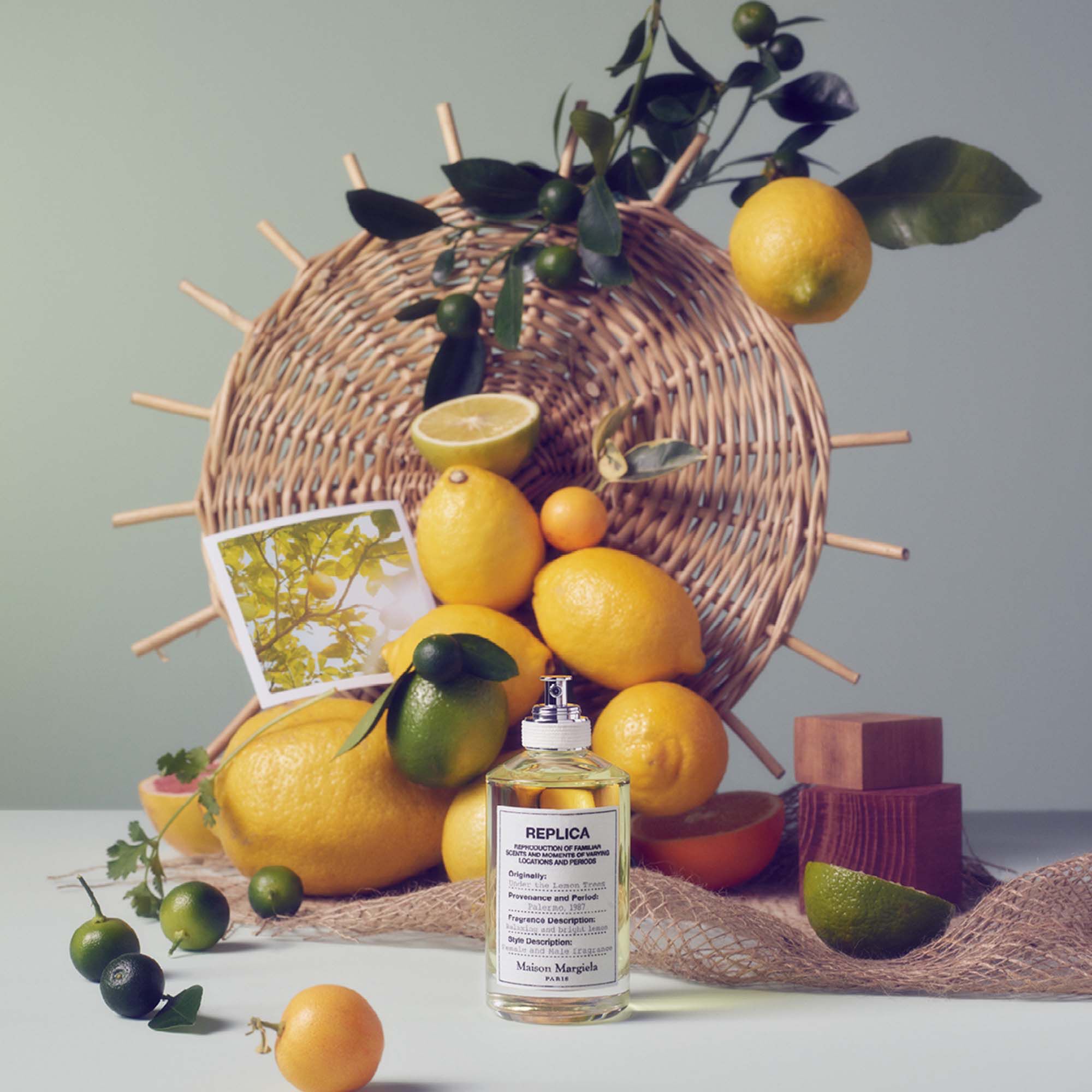 Replica under the best sale lemon trees perfume