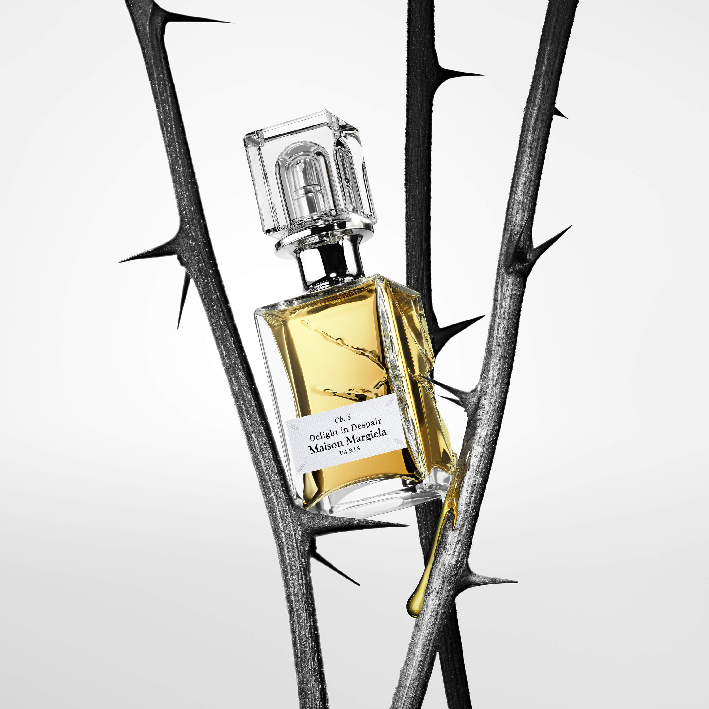 Scentsorium Delight in Despair Parfum